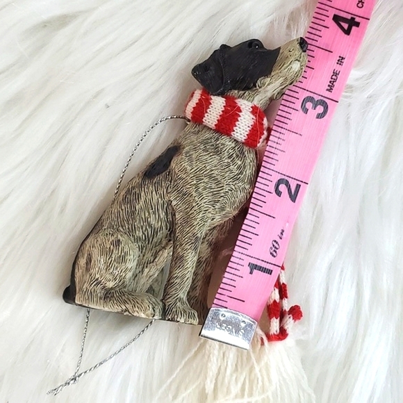 Realistic Winter English Pointer Dog Pup Puppy Resin Christmas Holiday Ornament - Picture 14 of 14